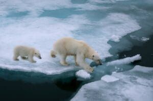 Global Warming a Scam