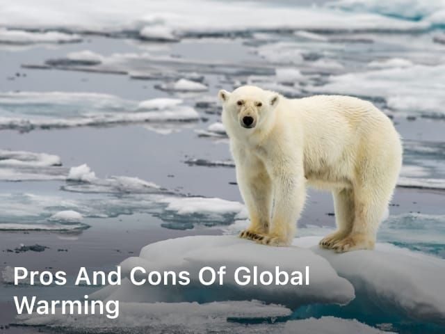 Pros and Cons of Global Warming