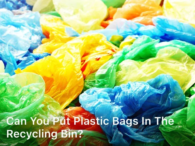 Can You Put Plastic Bags in the Recycling Bin?