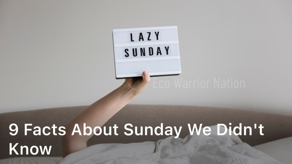 9 Facts about Sunday We Didn't Know